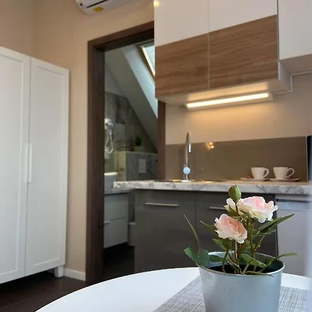 Corner 招待所 蒂豪尼