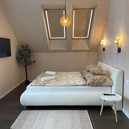 Corner 티하니